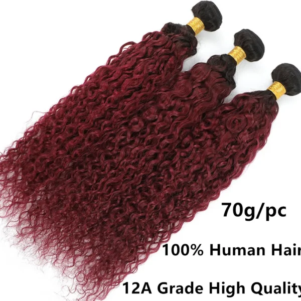 #99j colored curly human hair bundles with 4x4 lace closure, 100% human hair extensions for women